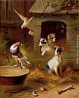 Edgar Hunt Canvas Paintings - Pigeons And Puppies
